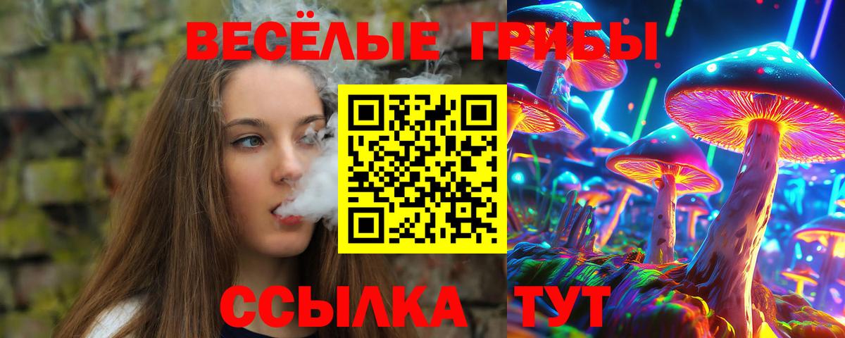 Петропавловск-Камчатский  Галлюциногенные грибы Psilocybe  Галлюциногенные грибы мухоморы  Вход с VPN 